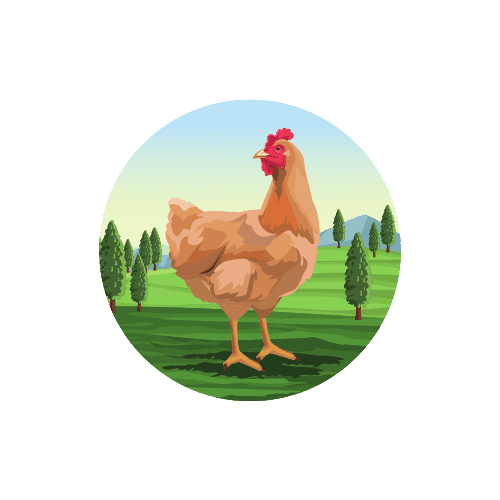 Organic Farm Logo